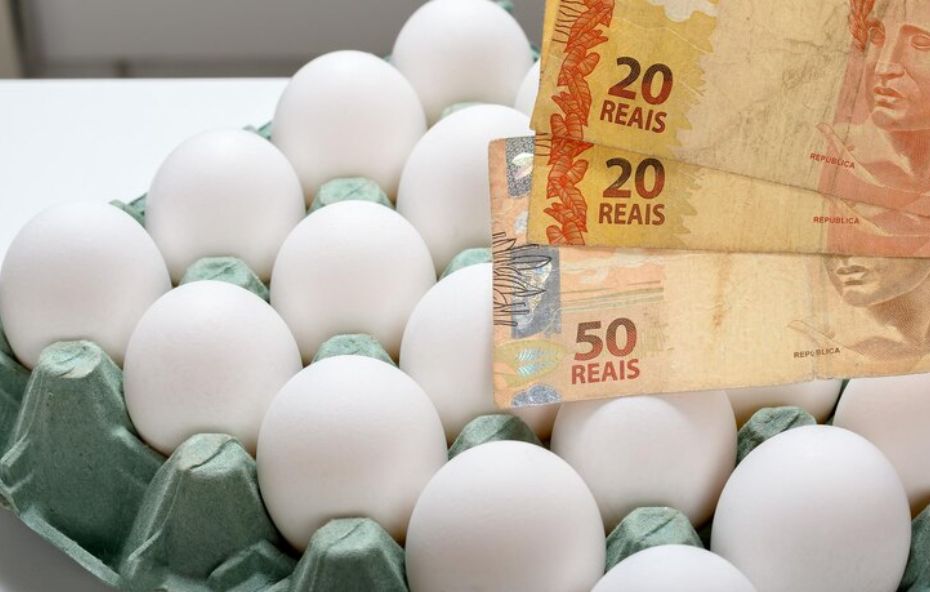 Preço do ovo cai 7,2% no atacado após foco de gripe aviária